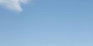 Luiza Kreitlon/AutoMotrix