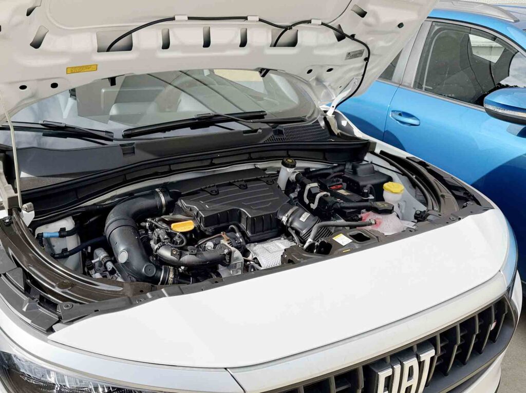 Lucas Cardoso e João Buffon